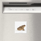 Kröte oder Kröte (Bufo bufo) Magnet (In Situ (Geschirrspüler))