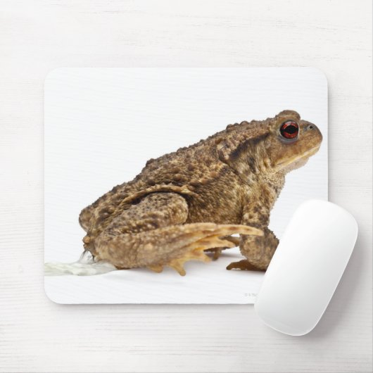 Kröte oder Kröte (Bufo bufo) Mousepad (Mit Mouse)