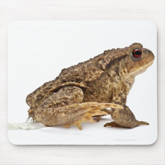 Kröte oder Kröte (Bufo bufo) Mousepad (Vorne)