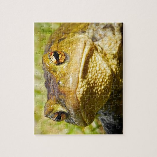 Kröte Puzzle (Vertikal)