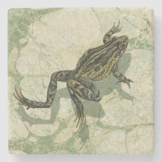 Kröte Swinning im Wasser Steinuntersetzer (Vorderseite)