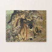 Kröten-Familie Puzzle (Horizontal)