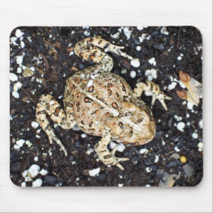 Kröten Frosch Frösche Mousepad