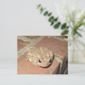 Kröten-Frosch-Postkarte Postkarte (Stehend Vorderseite)