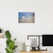 Kroyer - Sommer-Abend am Skagen Beach Poster (Heimbüro)