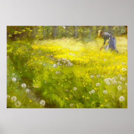 Kroyer's Garden in Skagen Poster (Vorne)