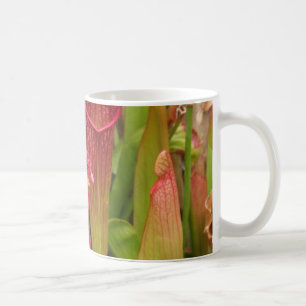 Krug-Pflanzen Kaffeetasse