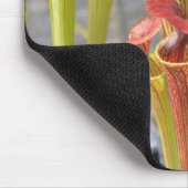Krug-Pflanzen-Mausunterlage 2 Mousepad (Ecke)