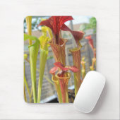 Krug-Pflanzen-Mausunterlage 2 Mousepad (Mit Mouse)