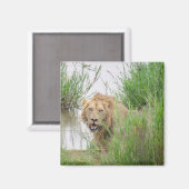 Kruger Magnet (Vorderseite/Rückseite)