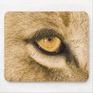 Kruger Nationalpark, der Limpopo-Provinz Mousepad