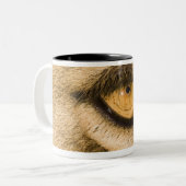 Kruger Nationalpark, der Limpopo-Provinz Zweifarbige Tasse (Vorderseite Links)