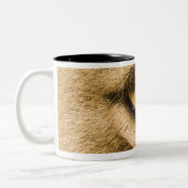 Kruger Nationalpark, der Limpopo-Provinz Zweifarbige Tasse (Links)