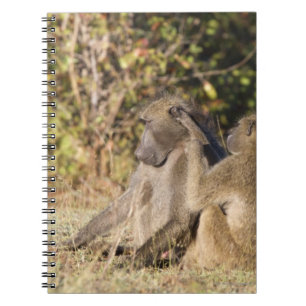 Kruger Nationalpark, Südafrika Notizblock