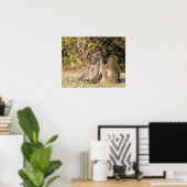 Kruger-Nationalpark, Südafrika Poster (Heimbüro)