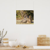 Kruger-Nationalpark, Südafrika Poster (Küche)