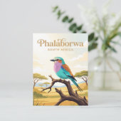 Kruger-Nationalpark Südafrika Postkarte (Stehend Vorderseite)
