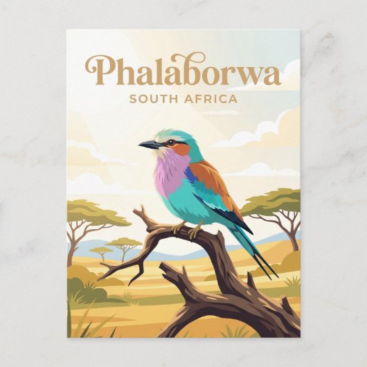 Kruger-Nationalpark Südafrika Postkarte (Vorderseite)