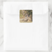 Kruger-Nationalpark, Südafrika Quadratischer Aufkleber (Tasche)