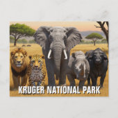 Krüger Nationalpark Südafrika Reisen Postkarte (Vorderseite)