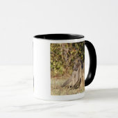 Kruger Nationalpark, Südafrika Tasse (VorderseiteRechts)