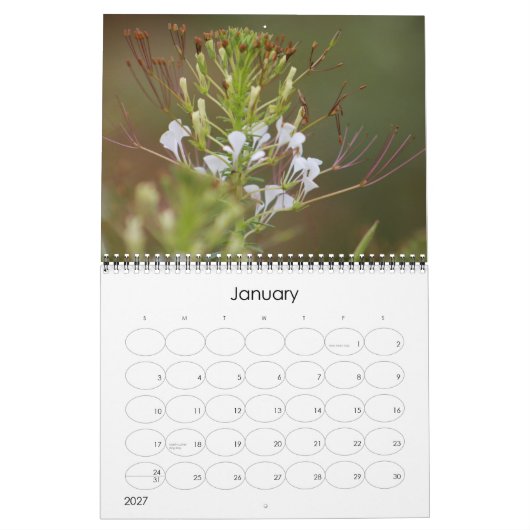 Kruger Nationalpark Wildlife calender Kalender (Jan 2027)