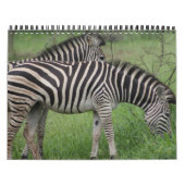 Kruger Nationalpark Wildlife calender Kalender (Titelbild)
