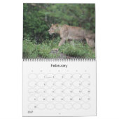 Kruger Nationalpark Wildlife calender Kalender (Feb 2027)