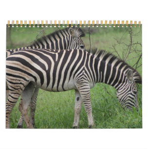 Kruger Nationalpark Wildlife calender Kalender
