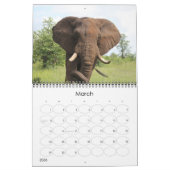 Kruger Nationalpark Wildlife calender Kalender (Mär 2026)