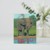 Krüger Park, Südafrika Postkarte (Stehend Vorderseite)