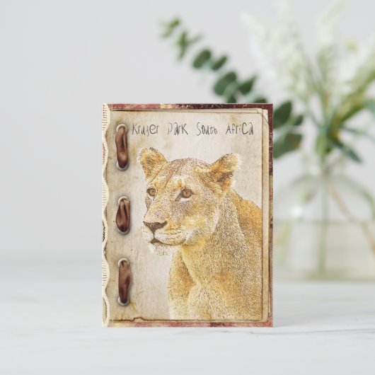 Krüger Park, Südafrika Postkarte (Stehend Vorderseite)