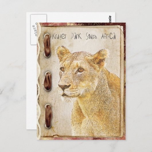 Krüger Park, Südafrika Postkarte (Vorne/Hinten)