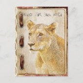 Krüger Park, Südafrika Postkarte (Vorderseite)