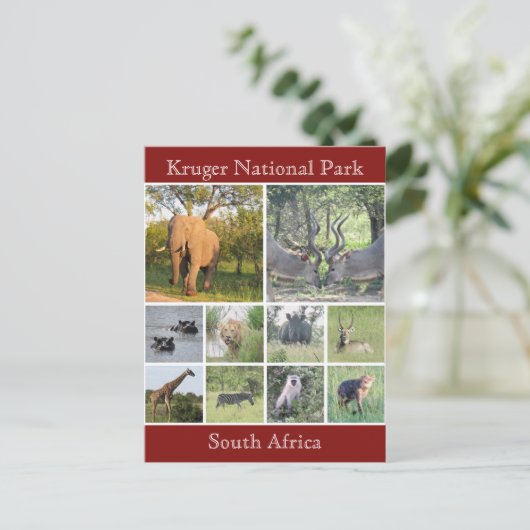 Krüger Postkarte (Stehend Vorderseite)