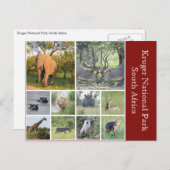 Krüger Postkarte (Vorne/Hinten)