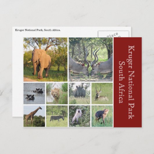 Krüger Postkarte (Vorne/Hinten)