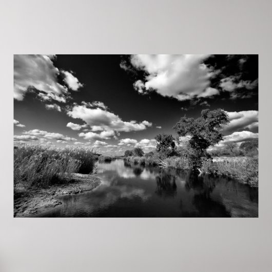 Kruger Quiescence Poster (Vorne)