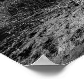 Kruger Quiescence Poster (Ecke)