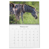 Krüger Safari Kalender (Feb 2027)