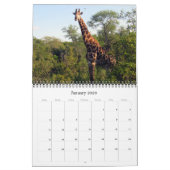 Krüger Safari Kalender (Jan 2026)