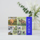 Krüger Safari Postkarte (Stehend Vorderseite)