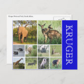 Krüger Safari Postkarte (Vorne/Hinten)