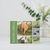 Kruger Südafrika Postkarte (Stehend Vorderseite)