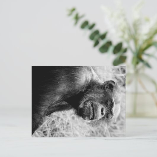 Krümel Postkarte (Stehend Vorderseite)