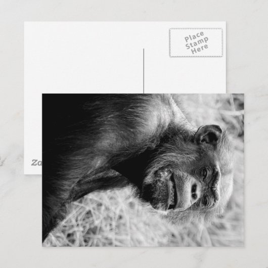 Krümel Postkarte (Vorne/Hinten)