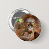 Krummer Tour 3 Button (Vorne & Hinten)