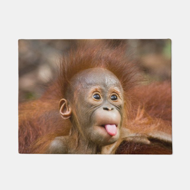 Krummer Tour Fußmatte (Vorderseite)