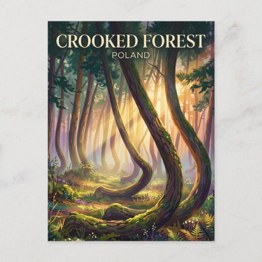 Krummer Wald Polen Postkarte (Vorderseite)