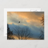 Krümmung eines pastellfarbenen Himmels Postkarte (Vorne/Hinten)